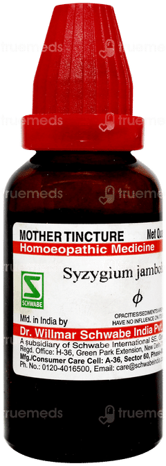 Dr Willmar Syzygium Jambolanum Q Mother Tincture 30ml
