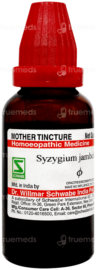 Dr Willmar Syzygium Jambolanum Q Mother Tincture 30ml