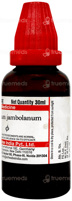 Dr Willmar Syzygium Jambolanum Q Mother Tincture 30ml