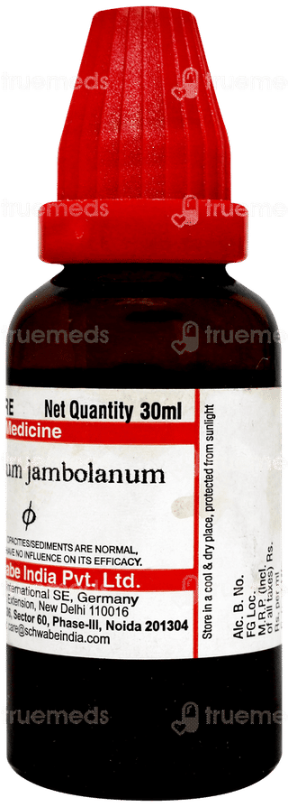 Dr Willmar Syzygium Jambolanum Q Mother Tincture 30ml