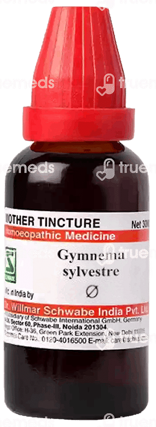 Dr Willmar Gymnema Sylvestre Mother Tincture 30ml