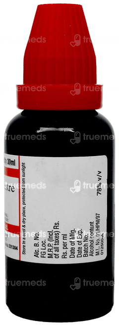 Dr Willmar Schwabe Gymnema Sylvestre Q Mother Tincture 30Ml