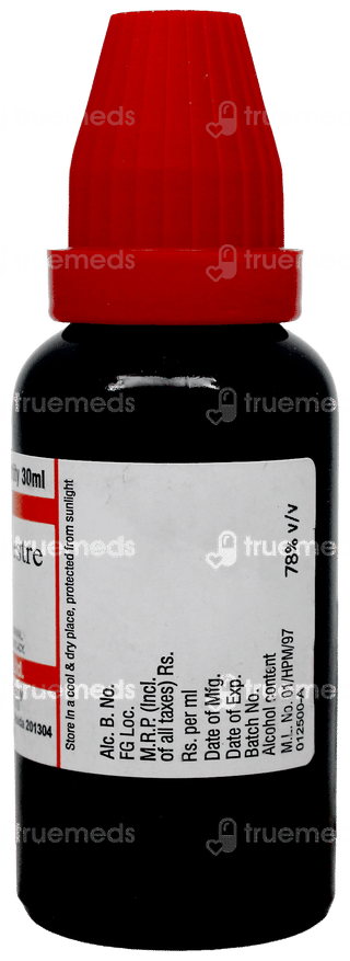 Dr Willmar Schwabe Gymnema Sylvestre Q Mother Tincture 30Ml