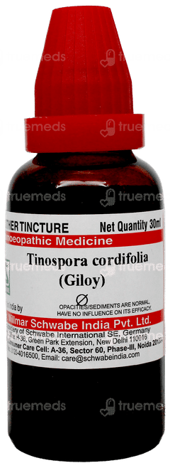 Dr Willmar Schwabe Tinospora Cordifolia Giloy Q Mother Tincture 30ml Dr Willmar Schwabe Tinospora Cordifolia Giloy Q Mother Tincture 30ml