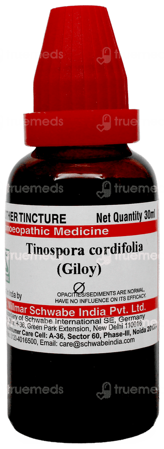 Dr Willmar Schwabe Tinospora Cordifolia Giloy Q Mother Tincture 30Ml