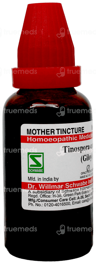 Dr Willmar Schwabe Tinospora Cordifolia Giloy Q Mother Tincture 30Ml