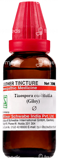 Dr Willmar Tinospora Cordifolia Giloy Mother Tincture 30ml