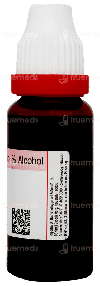 Dr Reckeweg Arnica Montana Q Mother Tincture 20ml