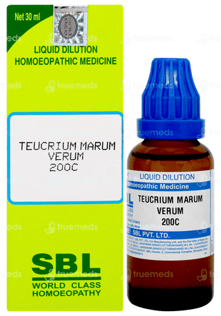 Sbl Teucrium Marum Verum 200c Dilution 30ml