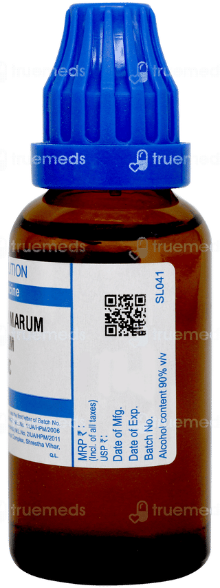 Sbl Teucrium Marum Verum 200c Dilution 30ml