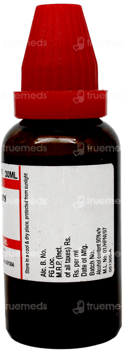 Dr Willmar Schwabe Pulsatilla Nigricans 30Ch Dilution 30Ml