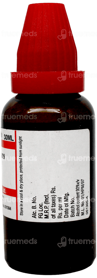 Dr Willmar Schwabe Pulsatilla Nigricans 30Ch Dilution 30Ml