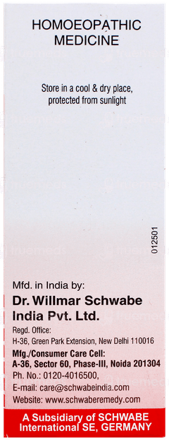 Dr Willmar Schwabe Sulphur 30Ch Dilution 30Ml
