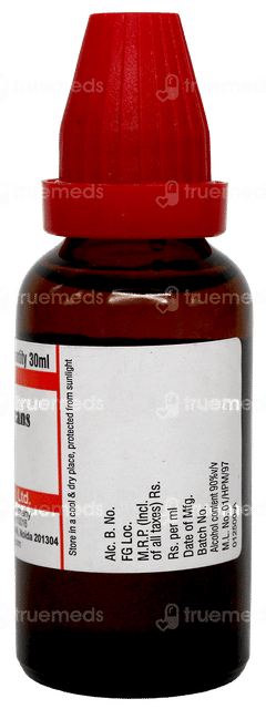 Dr Willmar Pulsatilla Nigricans (Pulsatilla) 6Ch Dilution 30Ml