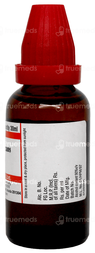 Dr Willmar Pulsatilla Nigricans (Pulsatilla) 6Ch Dilution 30Ml