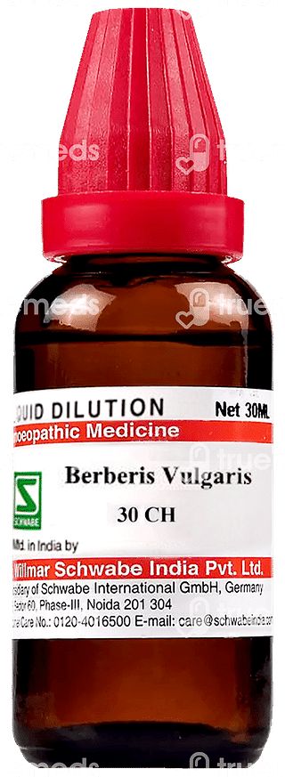 Dr Willmar Berberis Vulgaris 30ch Dilution 30ml