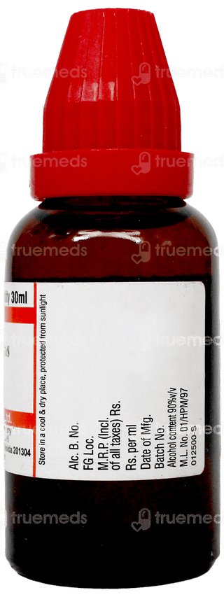 Dr Willmar Schwabe Berberis Vulgaris 30Ch Dilution 30Ml
