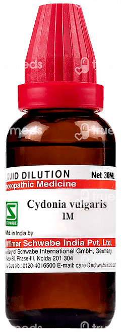 Dr Willmar Cydonia Vulgaris 1m Dilution 30ml Dr Willmar Cydonia Vulgaris 1m Dilution 30ml