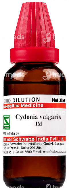 Dr Willmar Cydonia Vulgaris 1m Dilution 30ml