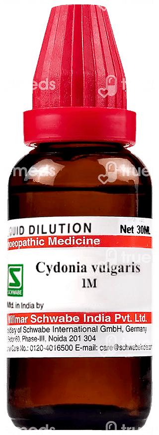 Dr Willmar Cydonia Vulgaris 1m Dilution 30ml