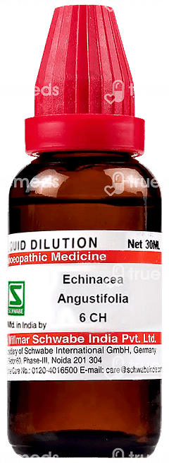 Dr Willmar Echinacea Angustifolia 6ch Dilution 30ml Dr Willmar Echinacea Angustifolia 6ch Dilution 30ml