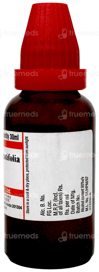 Dr Willmar Schwabe Echinacea Angustifolia 6ch Dilution 30ml