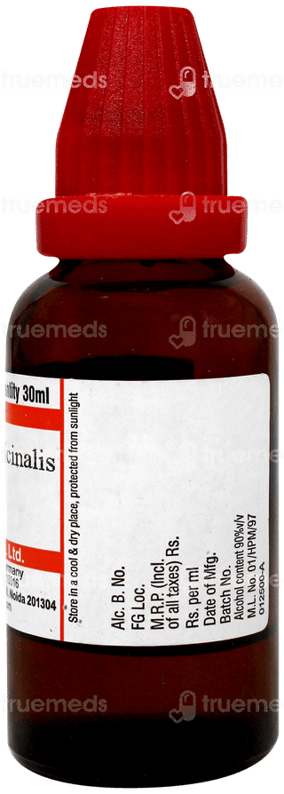 Dr Willmar Schwabe Rosmarinus Officinalis 30ch Dilution 30ml