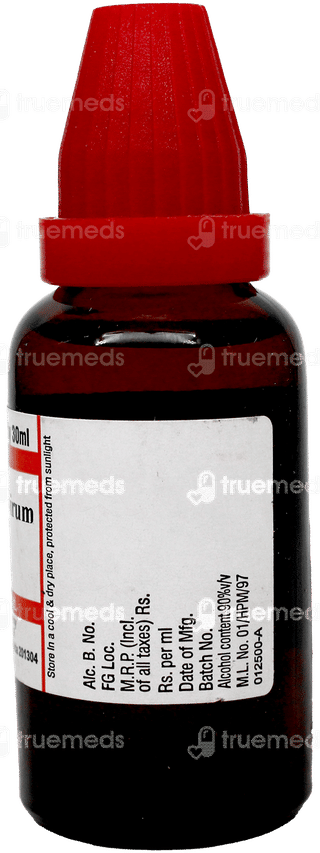 Dr Willmar Teucrium Marum Virum 30Ch Dilution 30Ml