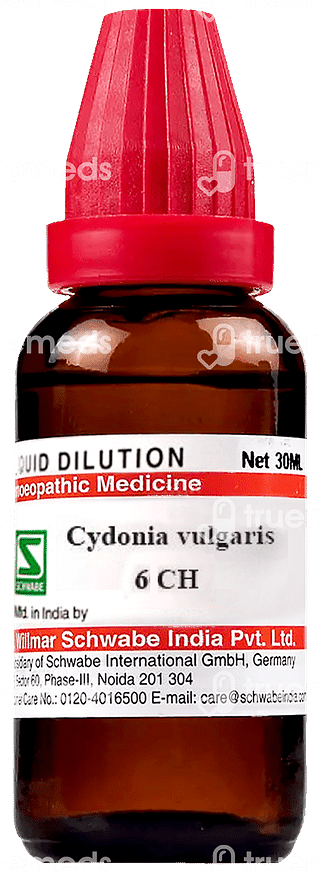 Dr Willmar Cydonia Vulgaris 6ch Dilution 30ml