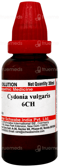 Dr Willmar Schwabe Cydonia Vulgaris 6ch Dilution 30ml