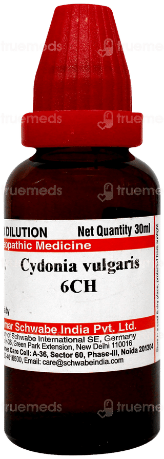 Dr Willmar Schwabe Cydonia Vulgaris 6ch Dilution 30ml