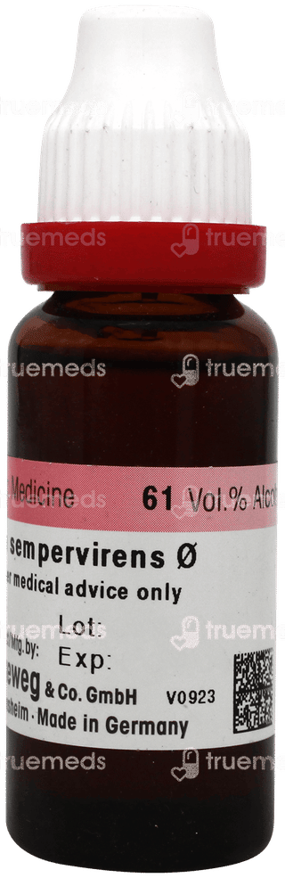 Dr Reckeweg Gelsemium Sempervirens Mother Tincture 20ml