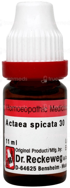 Dr Reckeweg Actaea Spicata 30 Dilution 11ml Dr Reckeweg Actaea Spicata 30 Dilution 11ml