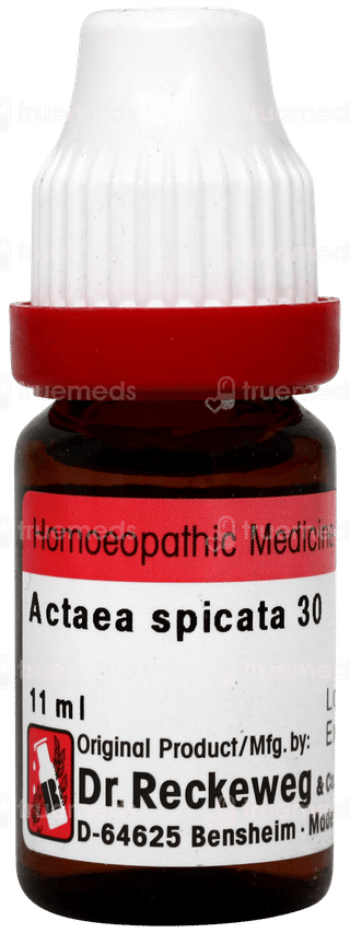 Dr Reckeweg Actaea Spicata 30 Dilution 11ml
