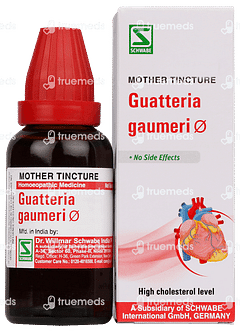 Dr Willmar Guatteria Gaumeri Q Mother Tincture 30ml Dr Willmar Guatteria Gaumeri Q Mother Tincture 30ml