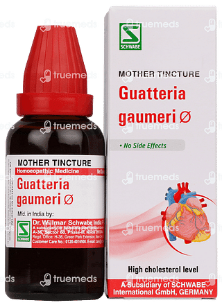 Dr Willmar Guatteria Gaumeri Q Mother Tincture 30ml