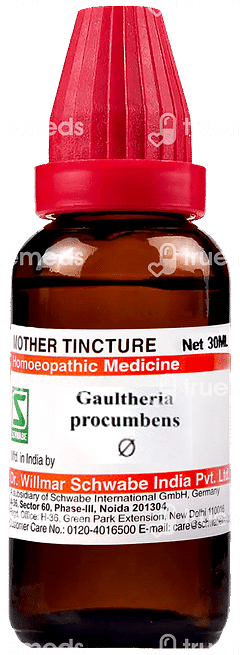 Dr Willmar Gaultheria Procumbens Q Mother Tincture 30ml