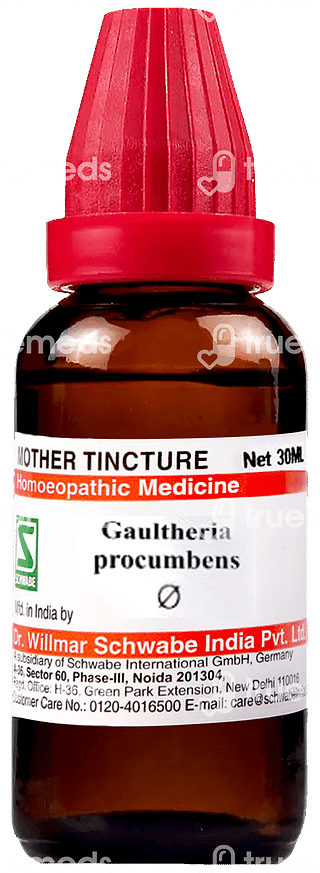 Dr Willmar Gaultheria Procumbens Q Mother Tincture 30ml