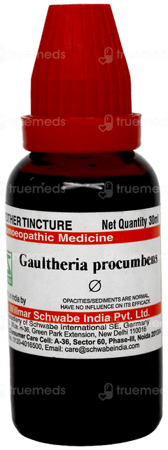 Dr Willmar Schwabe Gaultheria Procumbens Q Mother Tincture 30ml Dr Willmar Schwabe Gaultheria Procumbens Q Mother Tincture 30ml