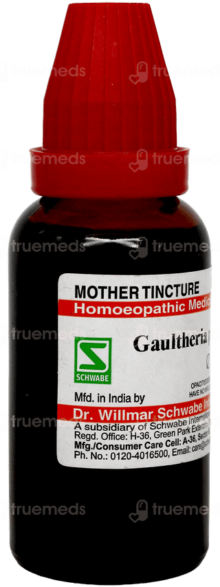 Dr Willmar Schwabe Gaultheria Procumbens Q Mother Tincture 30ml