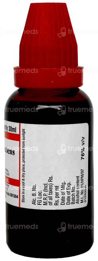 Dr Willmar Schwabe Gaultheria Procumbens Q Mother Tincture 30ml