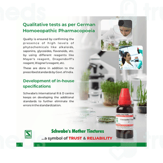 Dr Willmar Schwabe Emblica Officinalis Q Mother Tincture 30ml