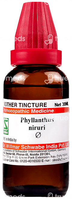 Dr Willmar Phyllanthus Niruri Q Mother Tincture 30ml Dr Willmar Phyllanthus Niruri Q Mother Tincture 30ml