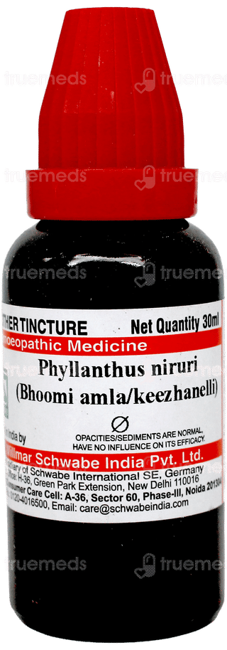 Dr Willmar Schwabe Phyllanthus Niruri Q Mother Tincture 30Ml