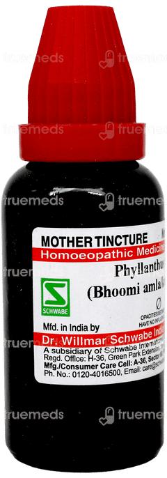 Dr Willmar Schwabe Phyllanthus Niruri Q Mother Tincture 30Ml