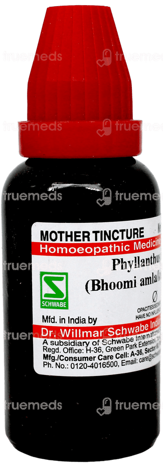 Dr Willmar Schwabe Phyllanthus Niruri Q Mother Tincture 30Ml