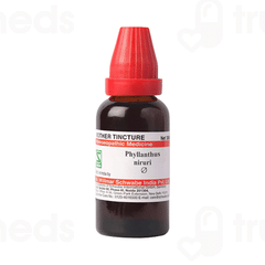 Dr Willmar Schwabe Phyllanthus Niruri Q Mother Tincture 30ml
