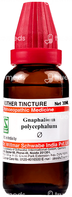 Dr Willmar Gnaphalium Polycephalum Q Mother Tincture 30ml