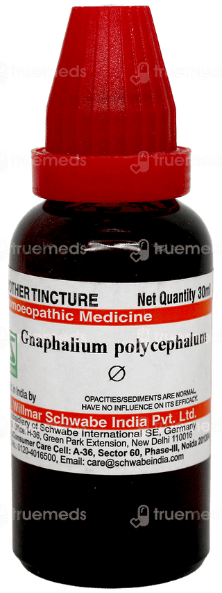 Dr Willmar Schwabe Gnaphalium Polycephalum Q Mother Tincture 30Ml