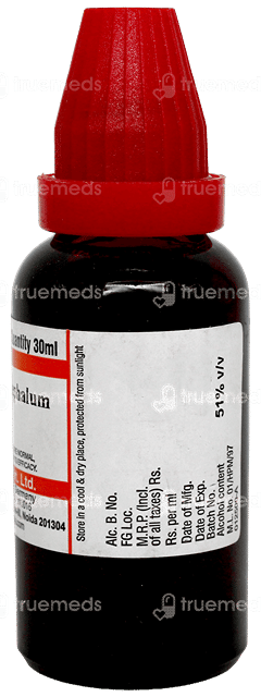 Dr Willmar Schwabe Gnaphalium Polycephalum Q Mother Tincture 30Ml